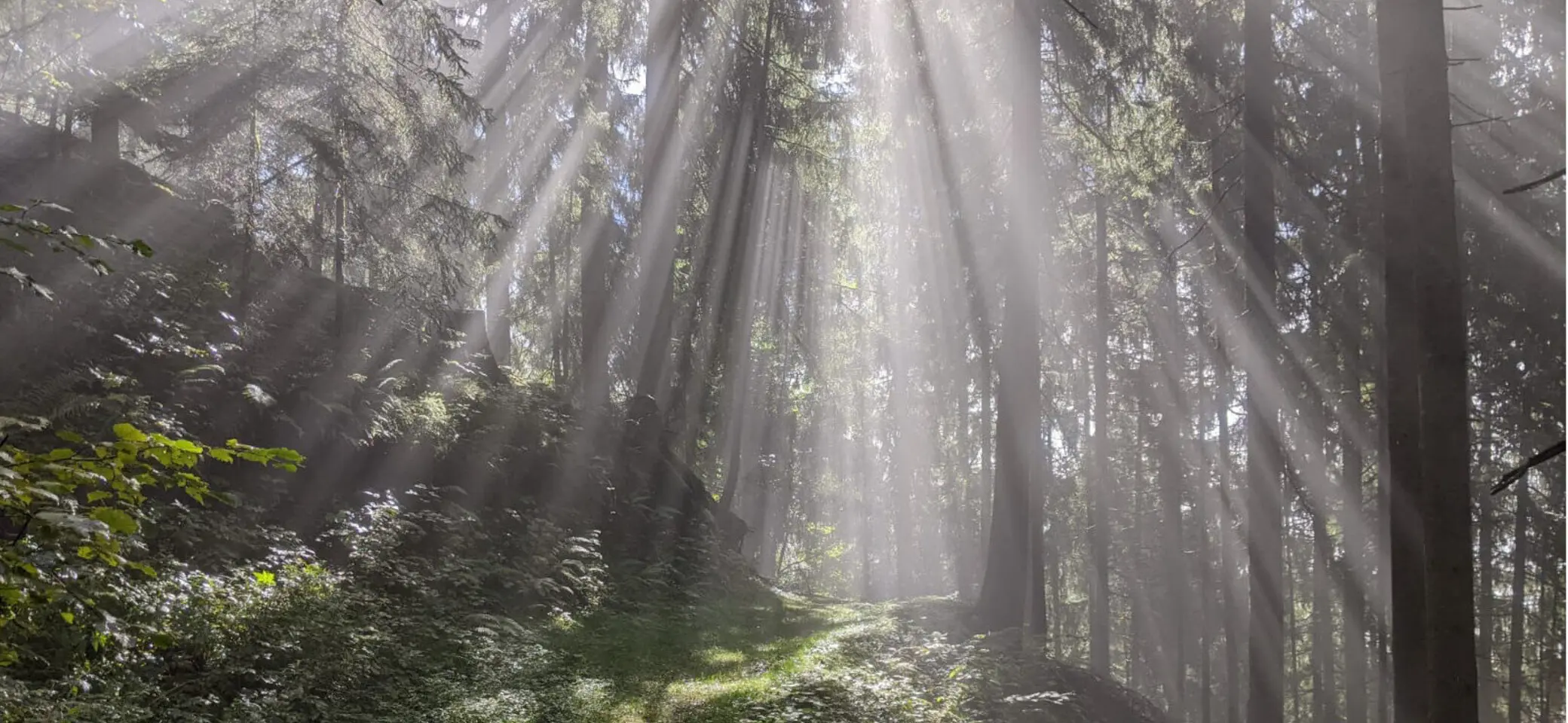 © Oliver J. Schmitt