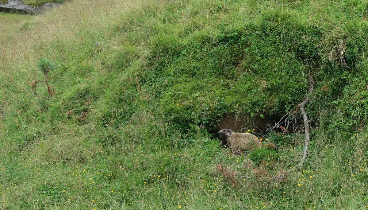 © Nina Moltrecht/Hagen Goetzke