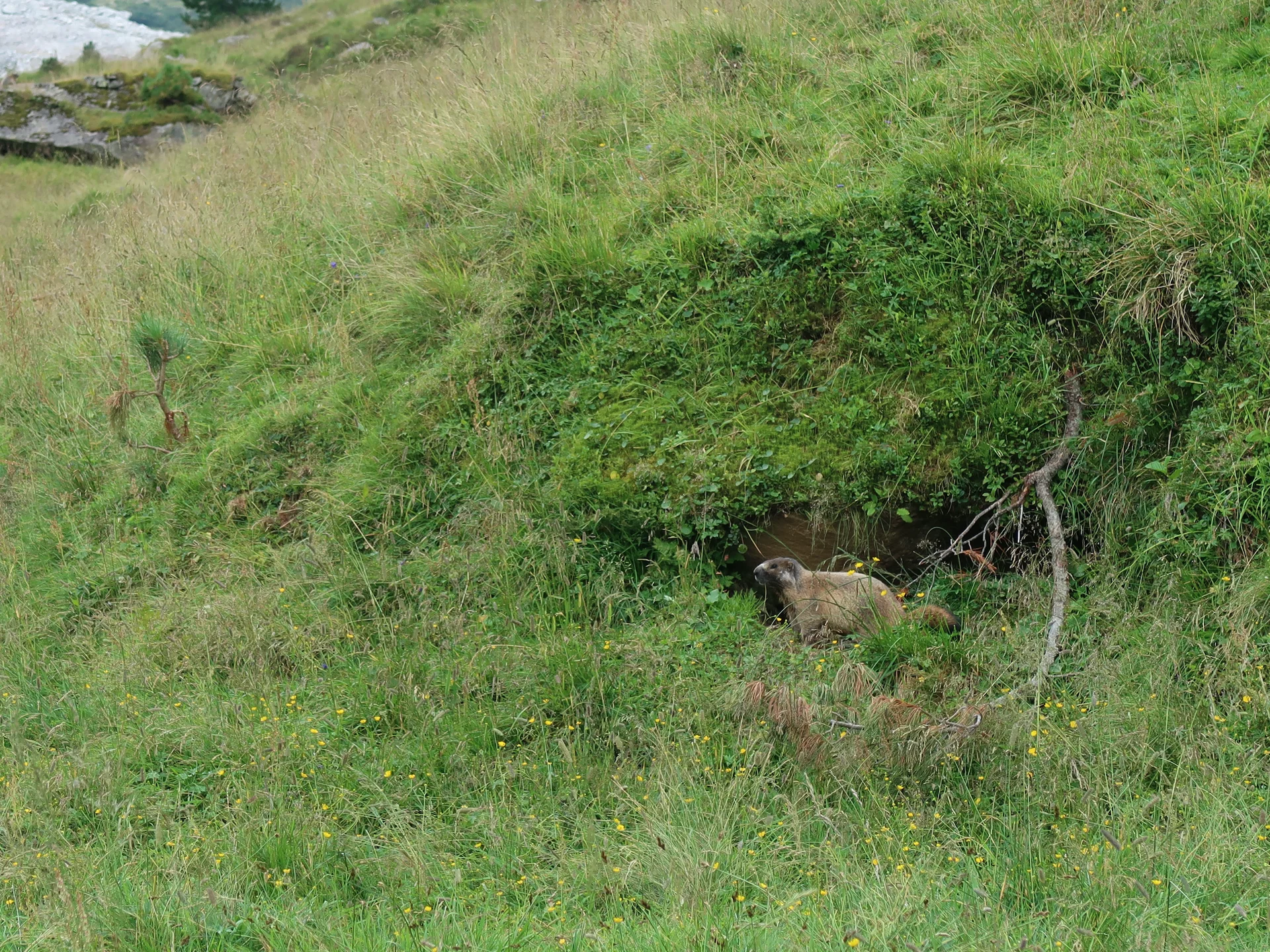 © Nina Moltrecht/Hagen Goetzke