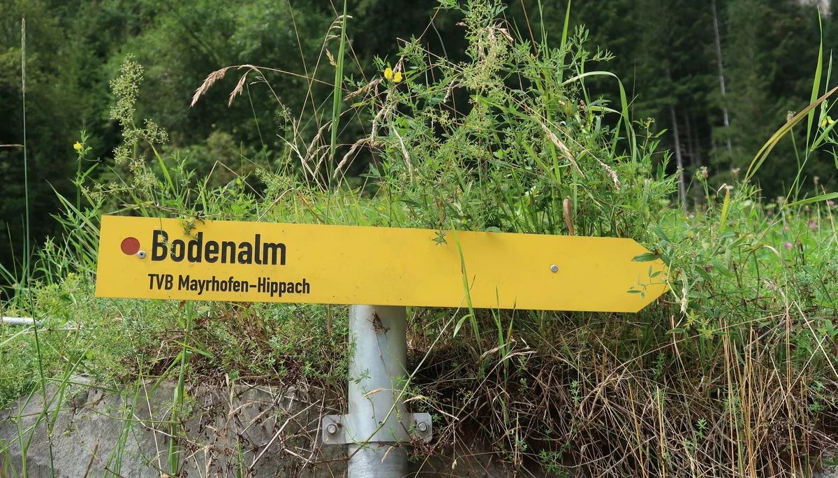 © Nina Moltrecht/Hagen Goetzke