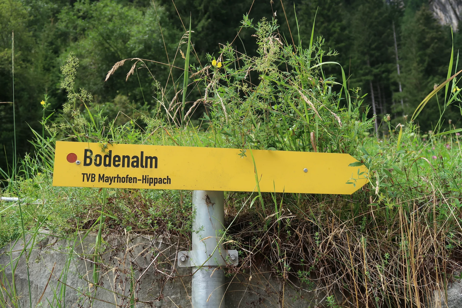 © Nina Moltrecht/Hagen Goetzke