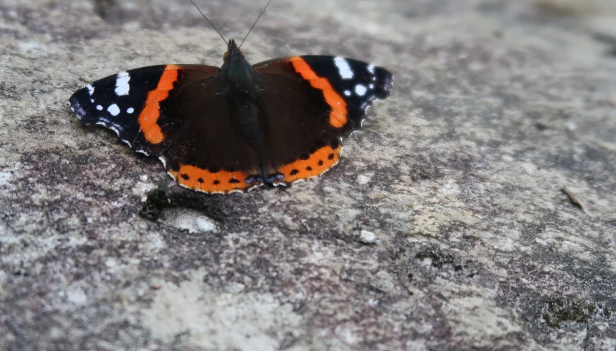 © Nina Moltrecht/Hagen Goetzke