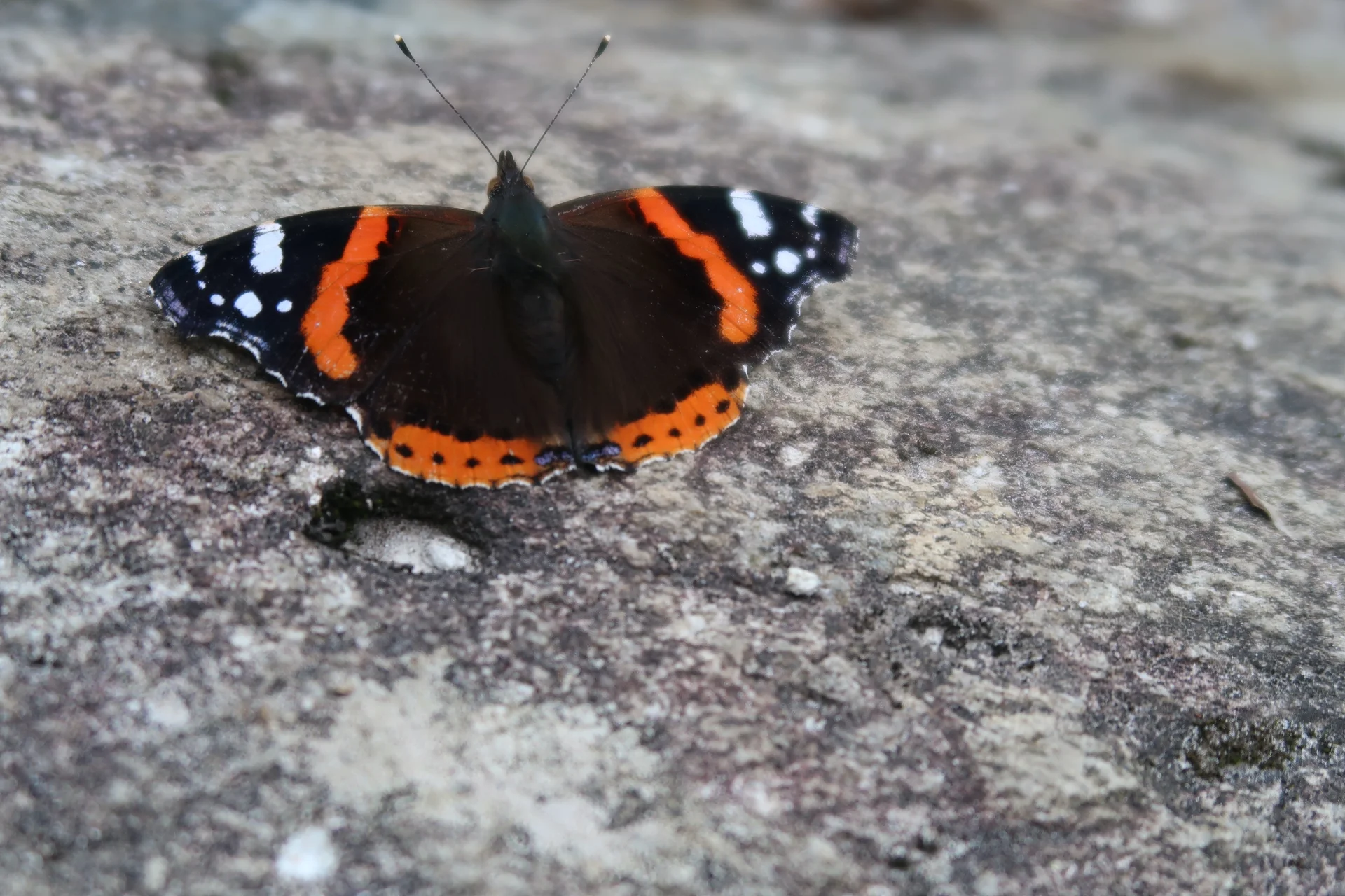 © Nina Moltrecht/Hagen Goetzke