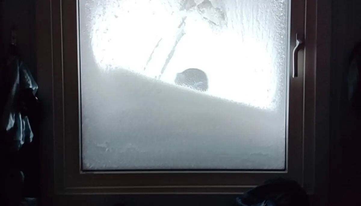 © Jeanette Zimmermann