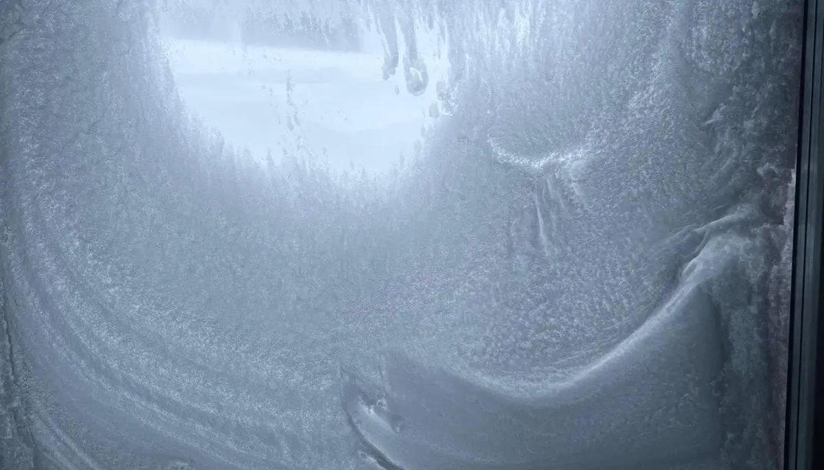 © Jeanette Zimmermann