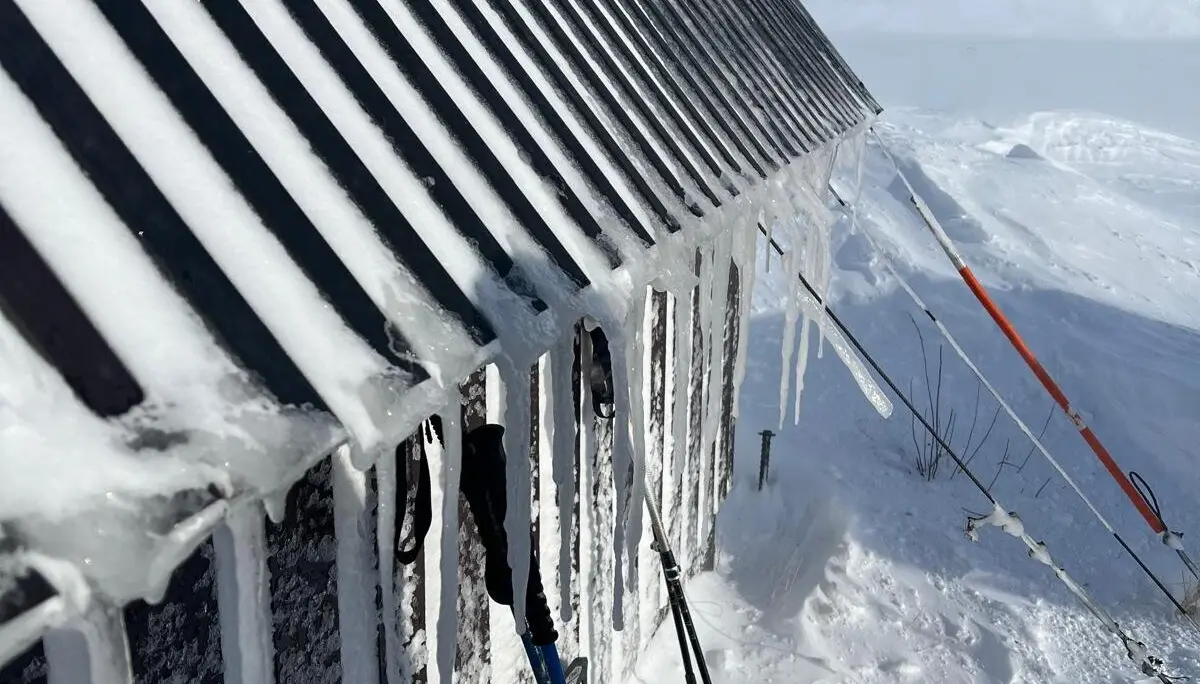 © Jeanette Zimmermann