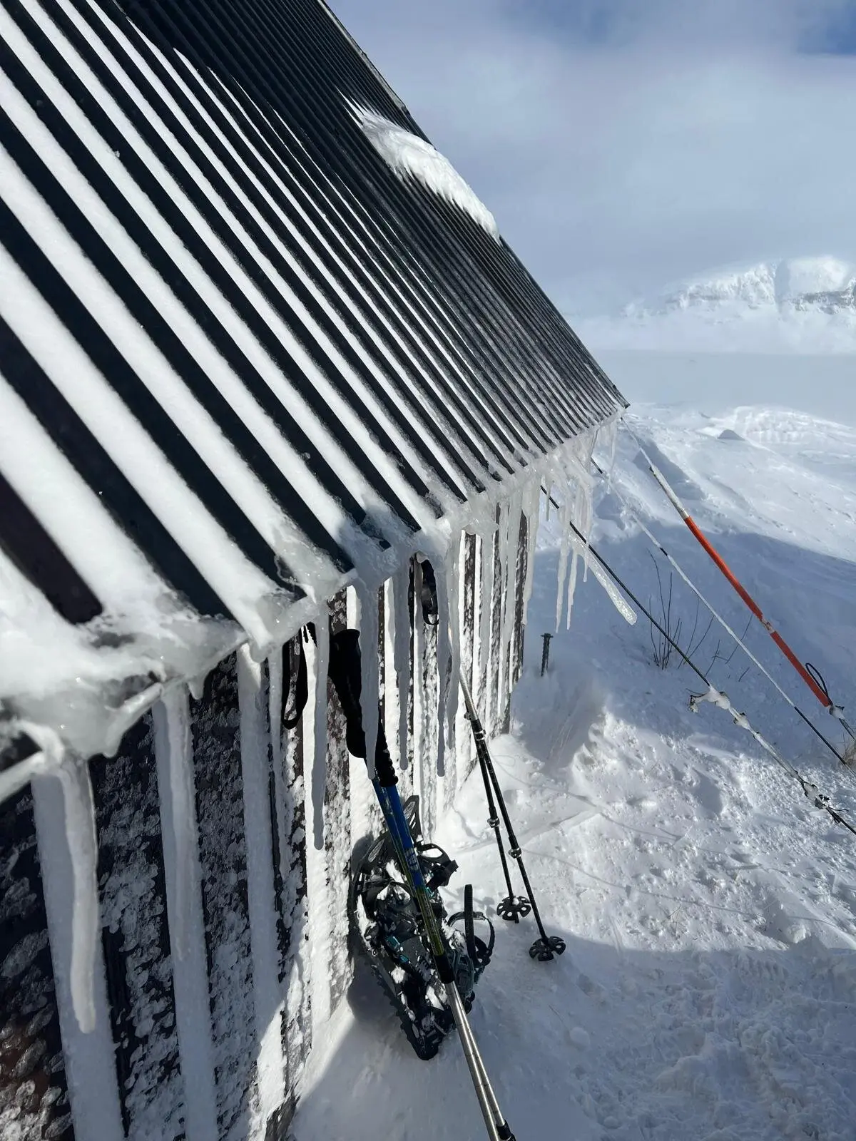 © Jeanette Zimmermann