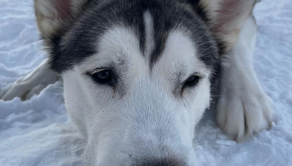 © Jeanette Zimmermann