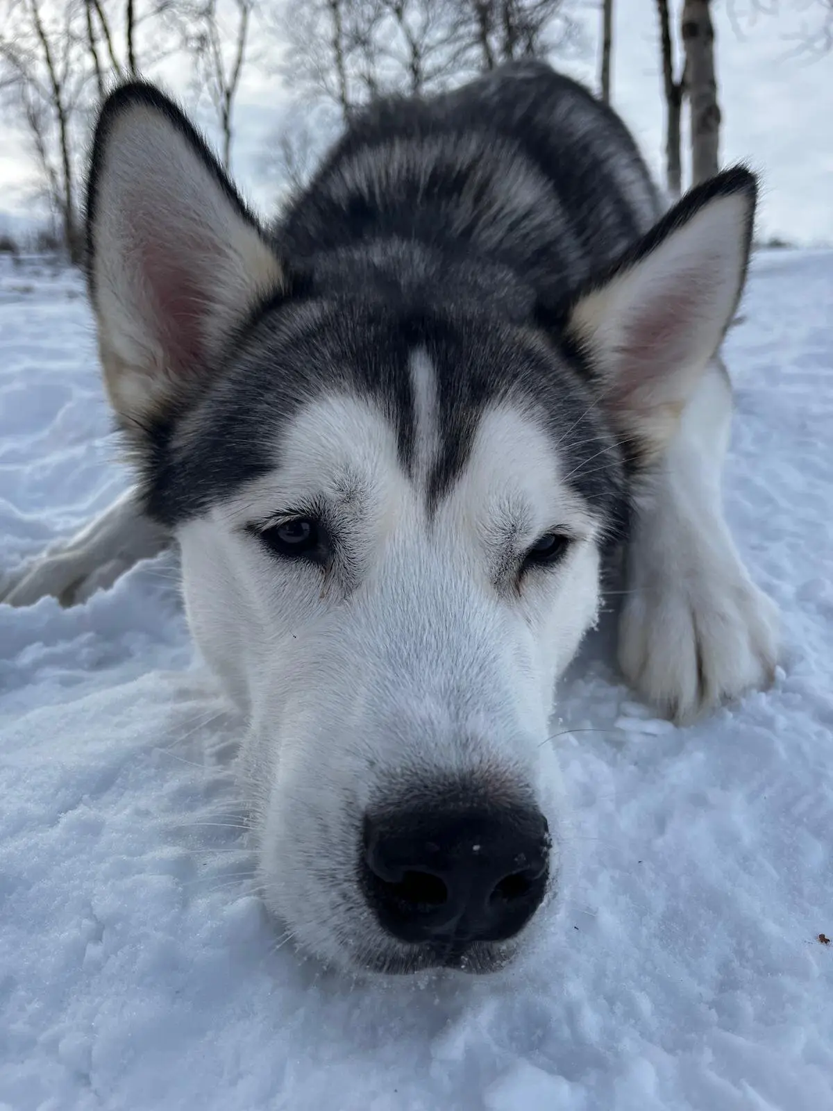 © Jeanette Zimmermann