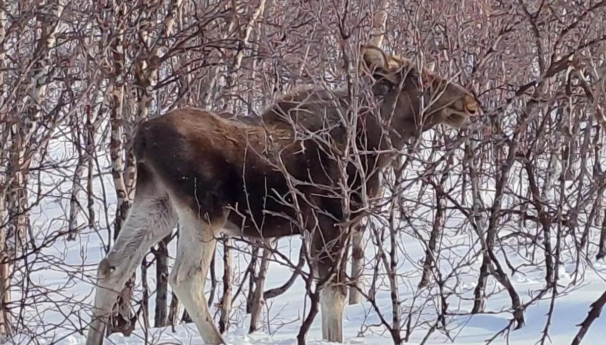 © Jeanette Zimmermann