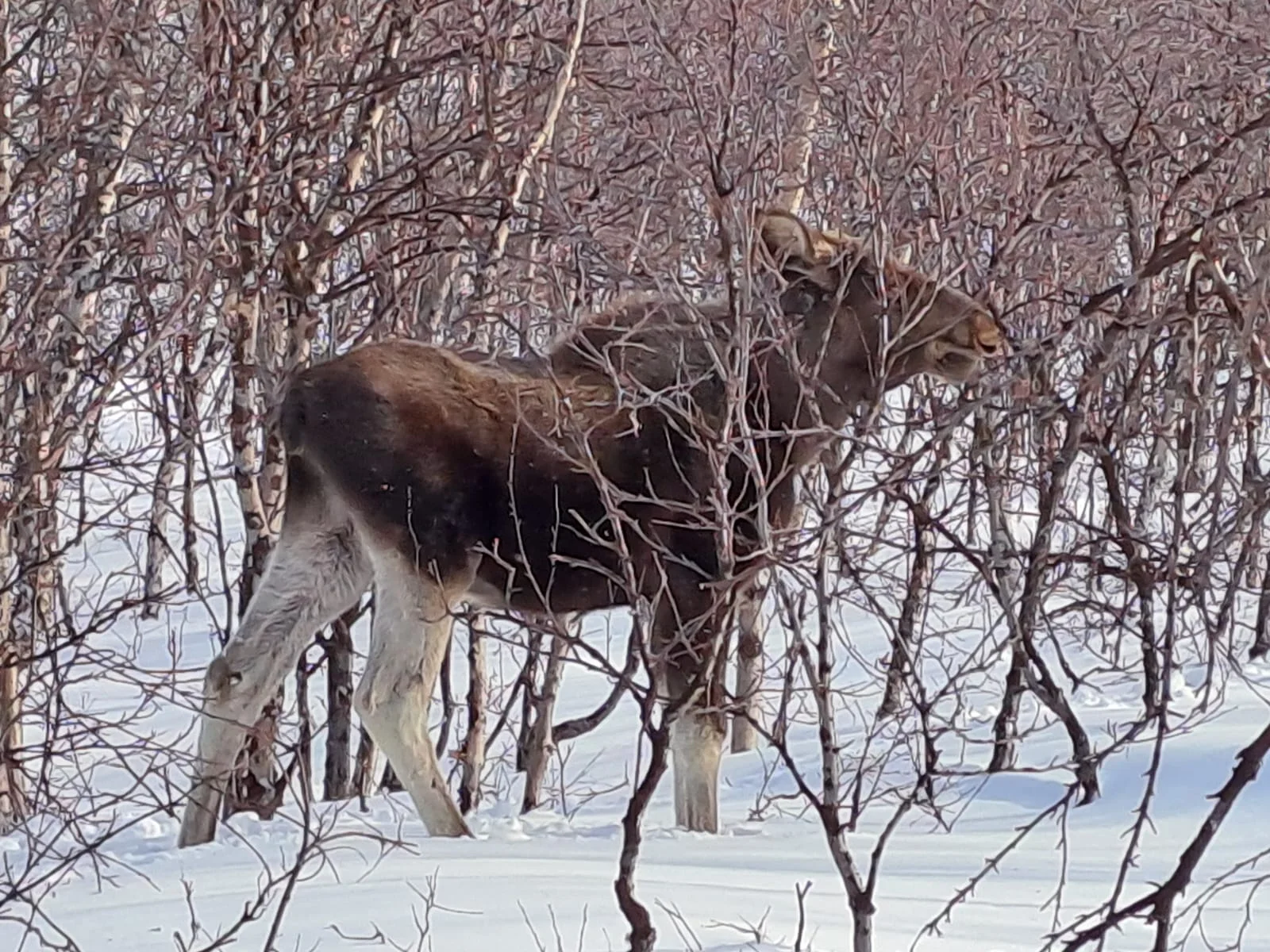 © Jeanette Zimmermann