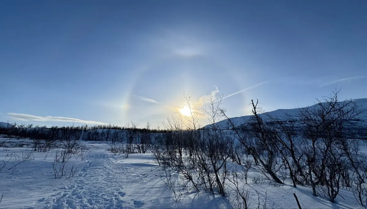 © Jeanette Zimmermann