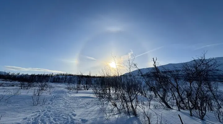 © Jeanette Zimmermann