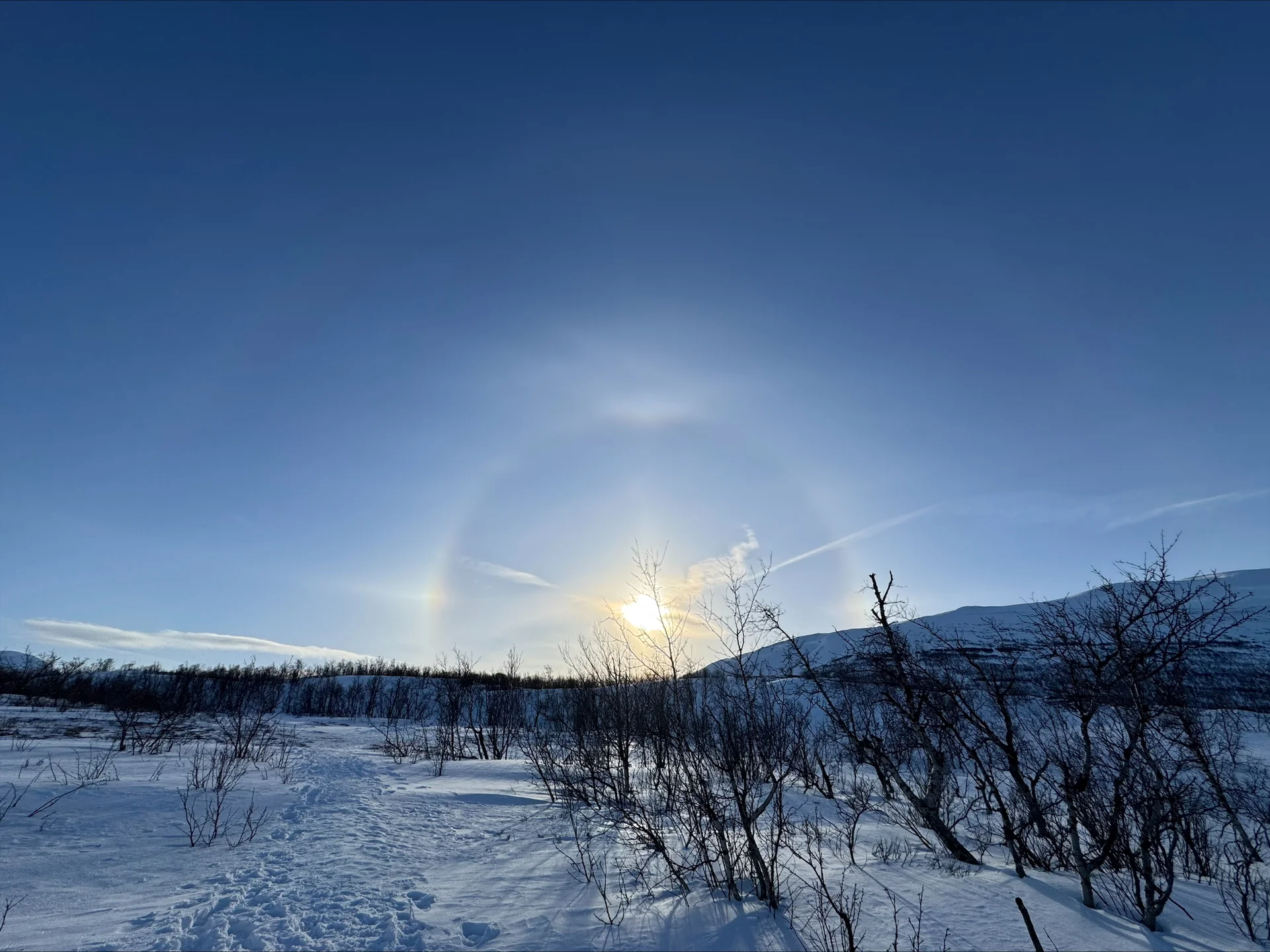 © Jeanette Zimmermann