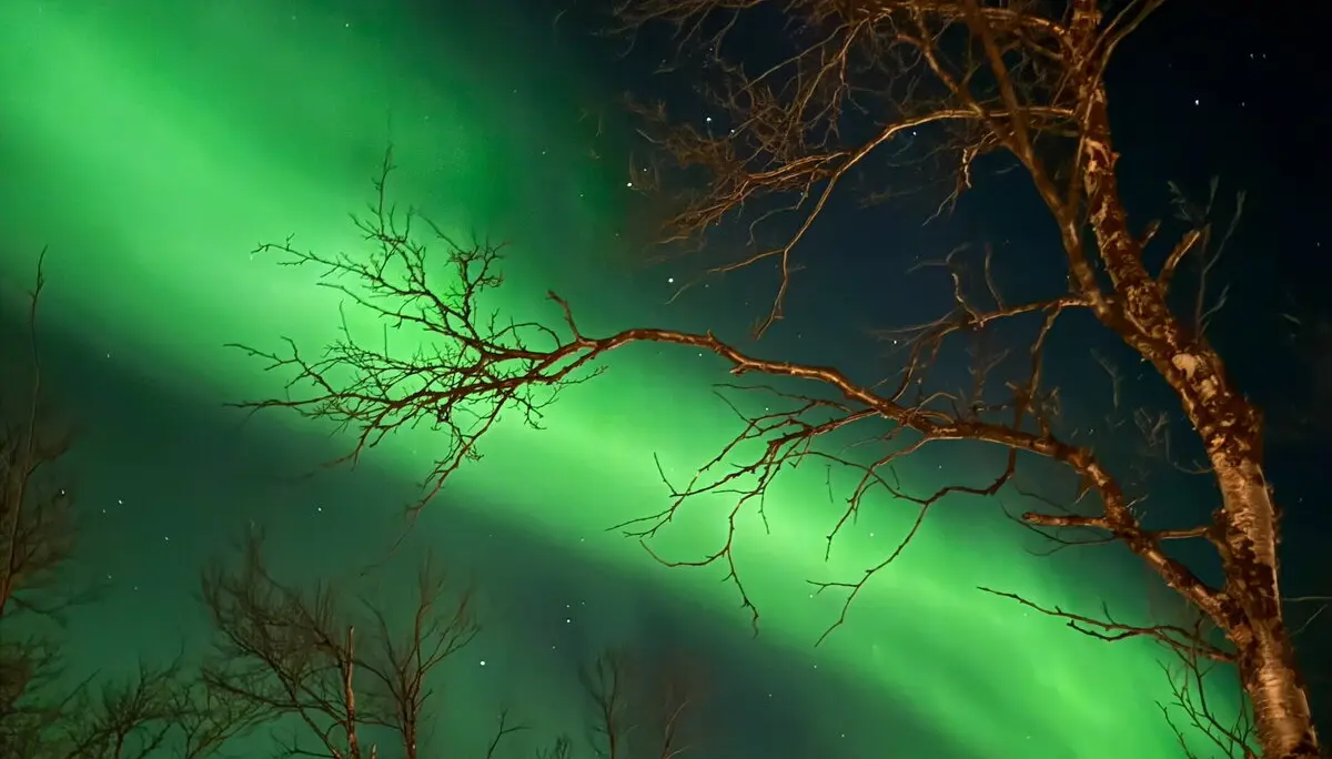 © Jeanette Zimmermann