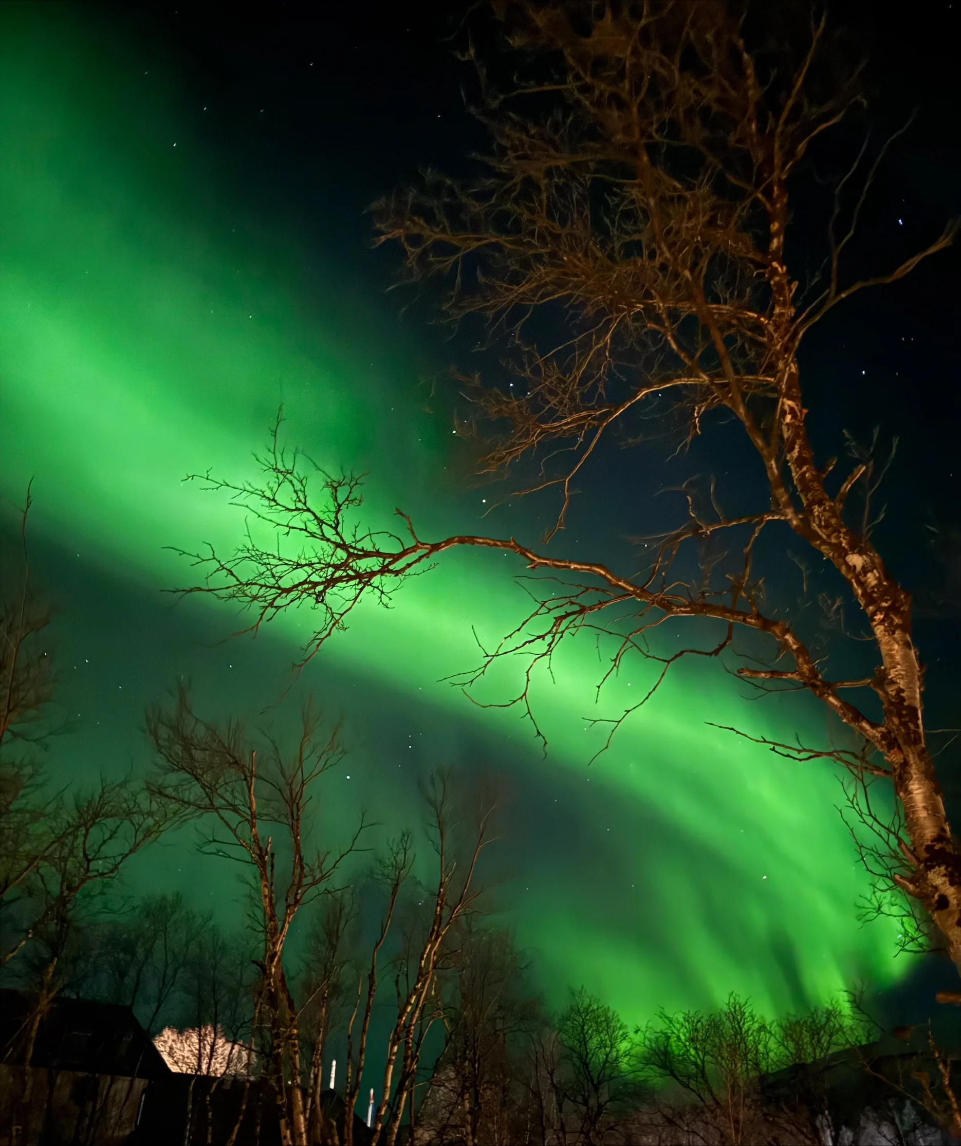 © Jeanette Zimmermann