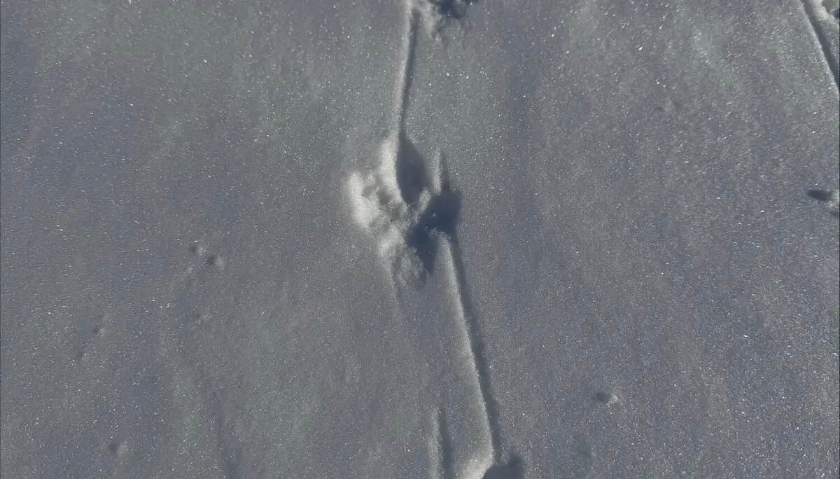 © Jeanette Zimmermann