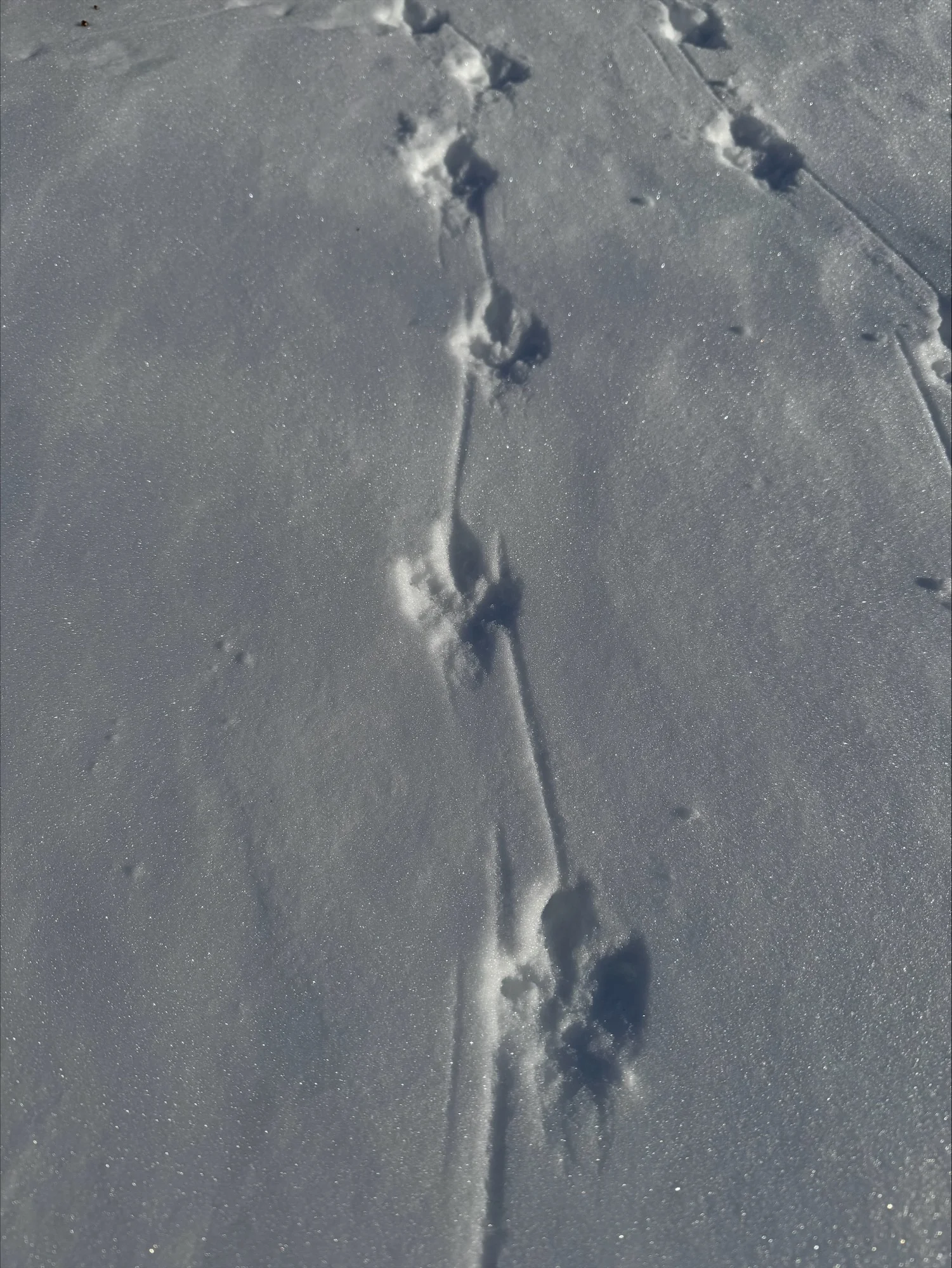 © Jeanette Zimmermann