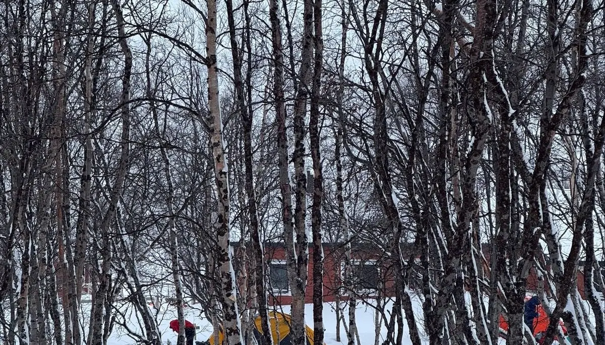 © Jeanette Zimmermann