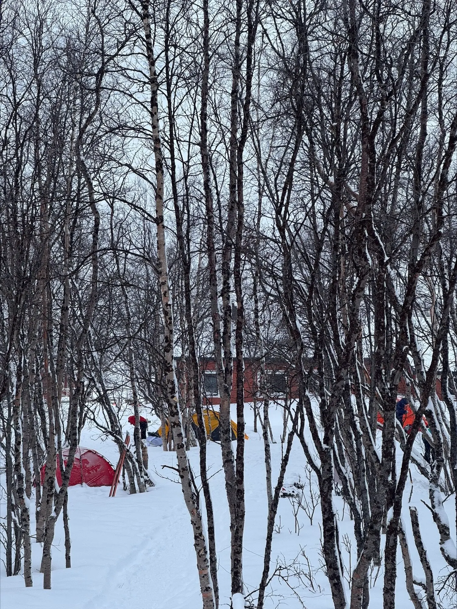 © Jeanette Zimmermann