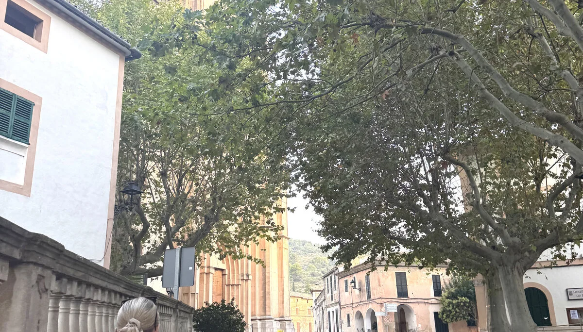 © Jeanette Zimmermann