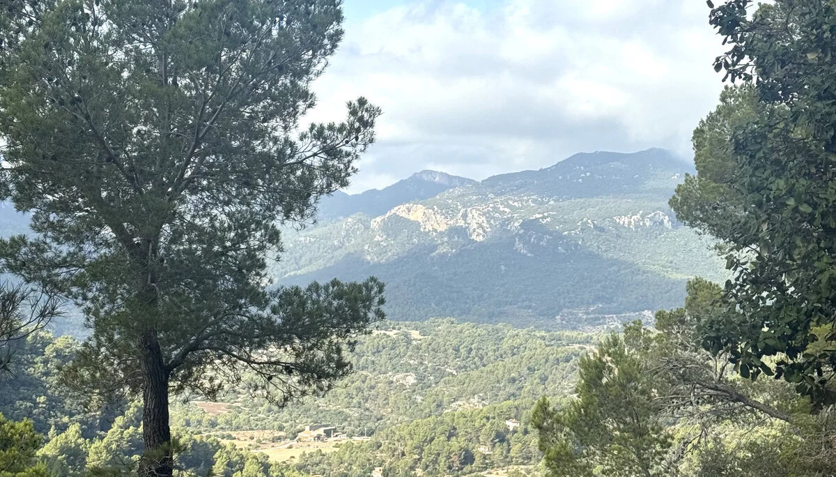 © Jeanette Zimmermann