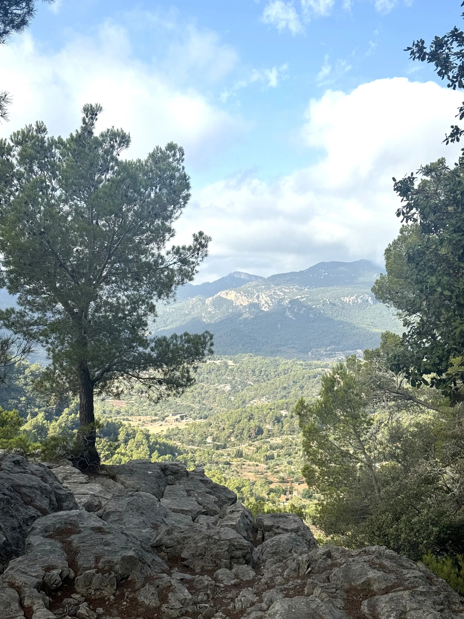 © Jeanette Zimmermann