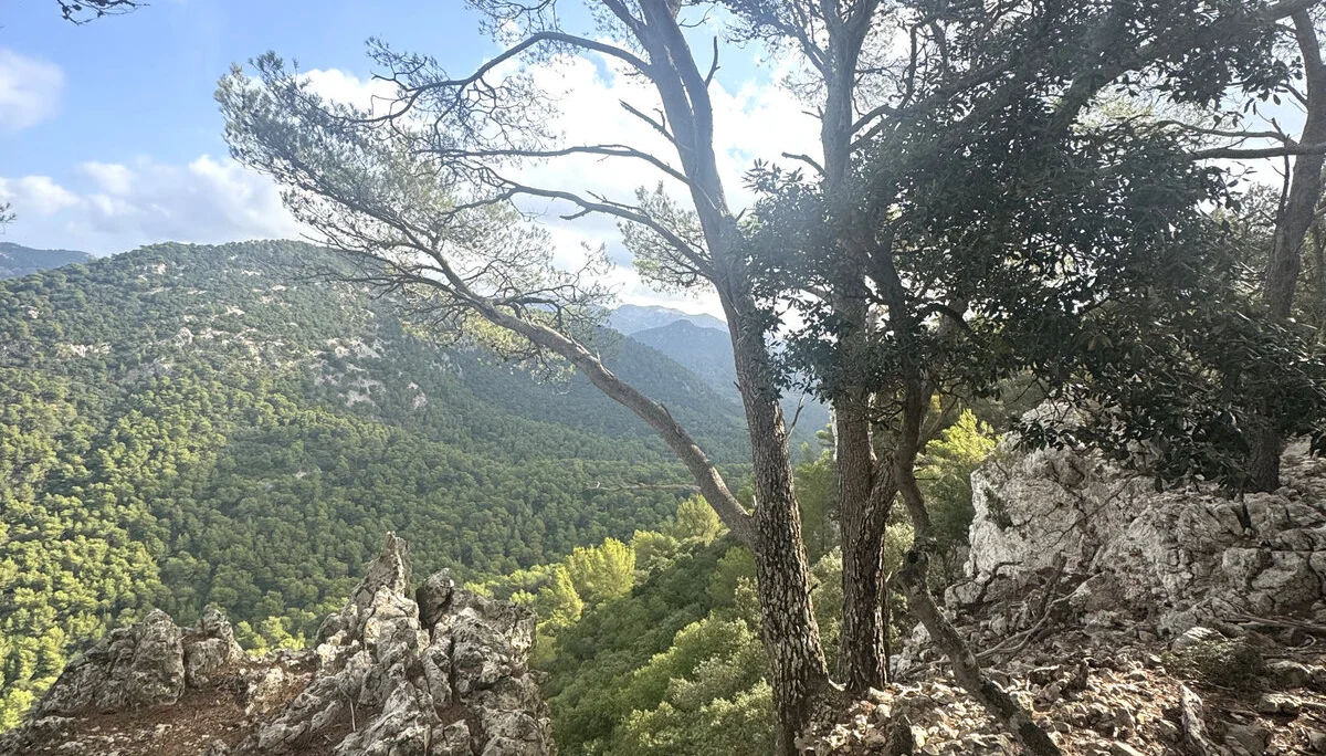 © Jeanette Zimmermann