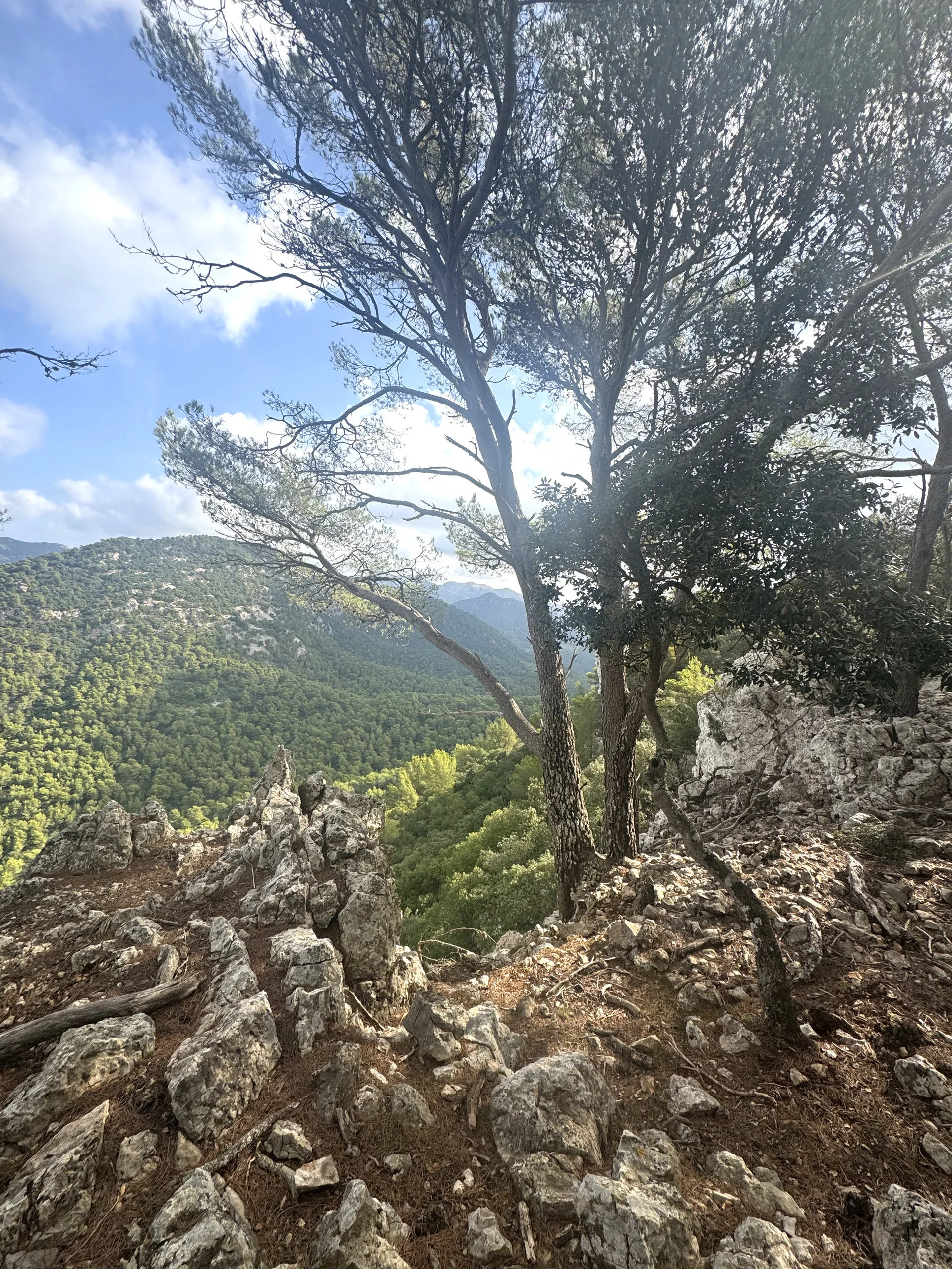 © Jeanette Zimmermann