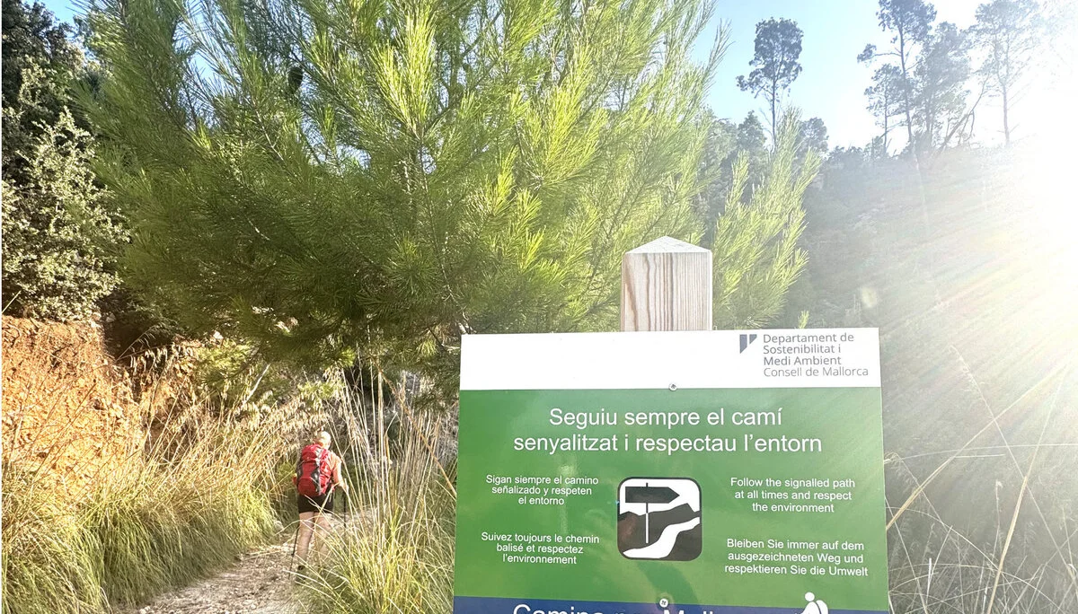 © Jeanette Zimmermann