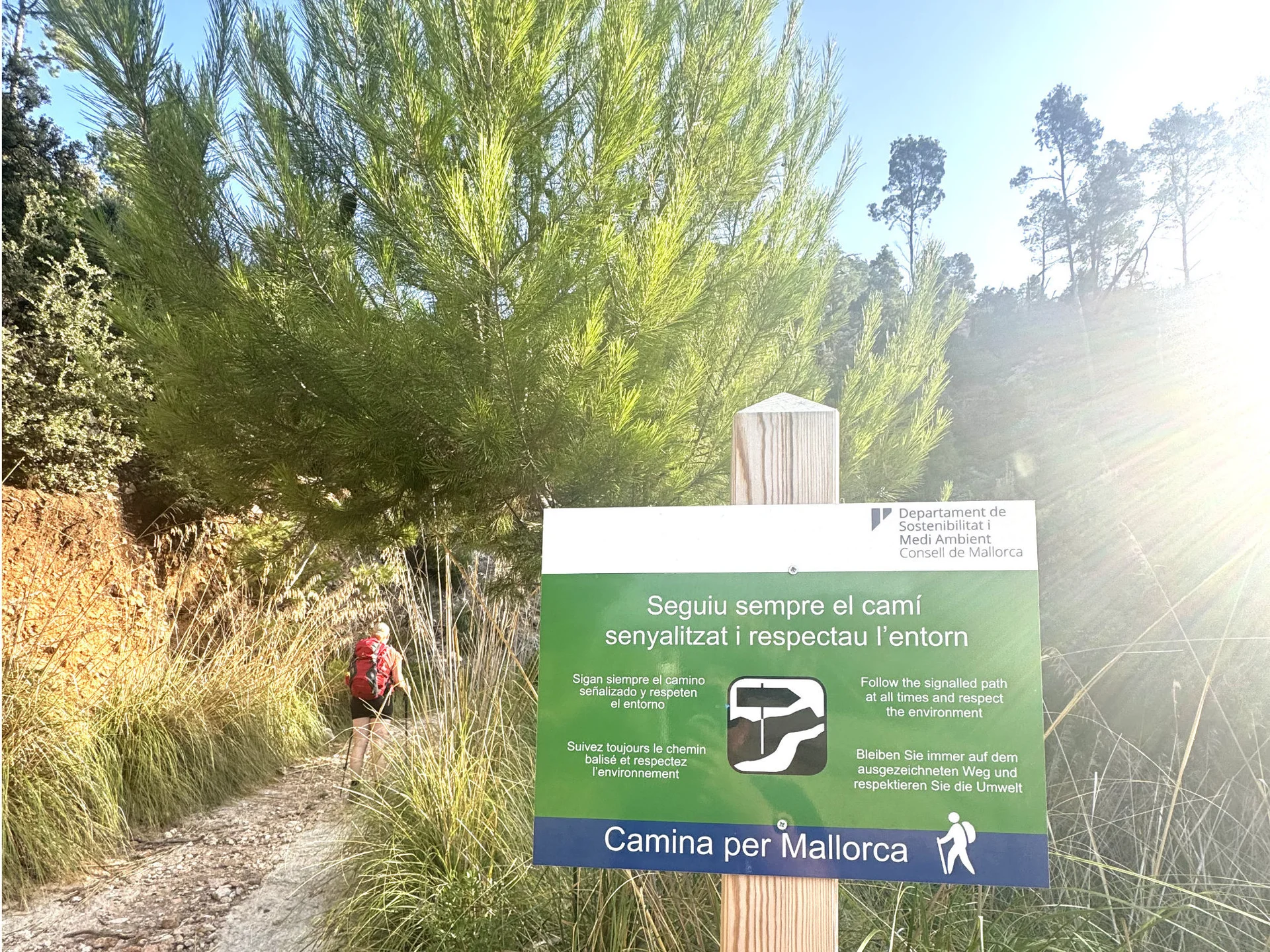 © Jeanette Zimmermann