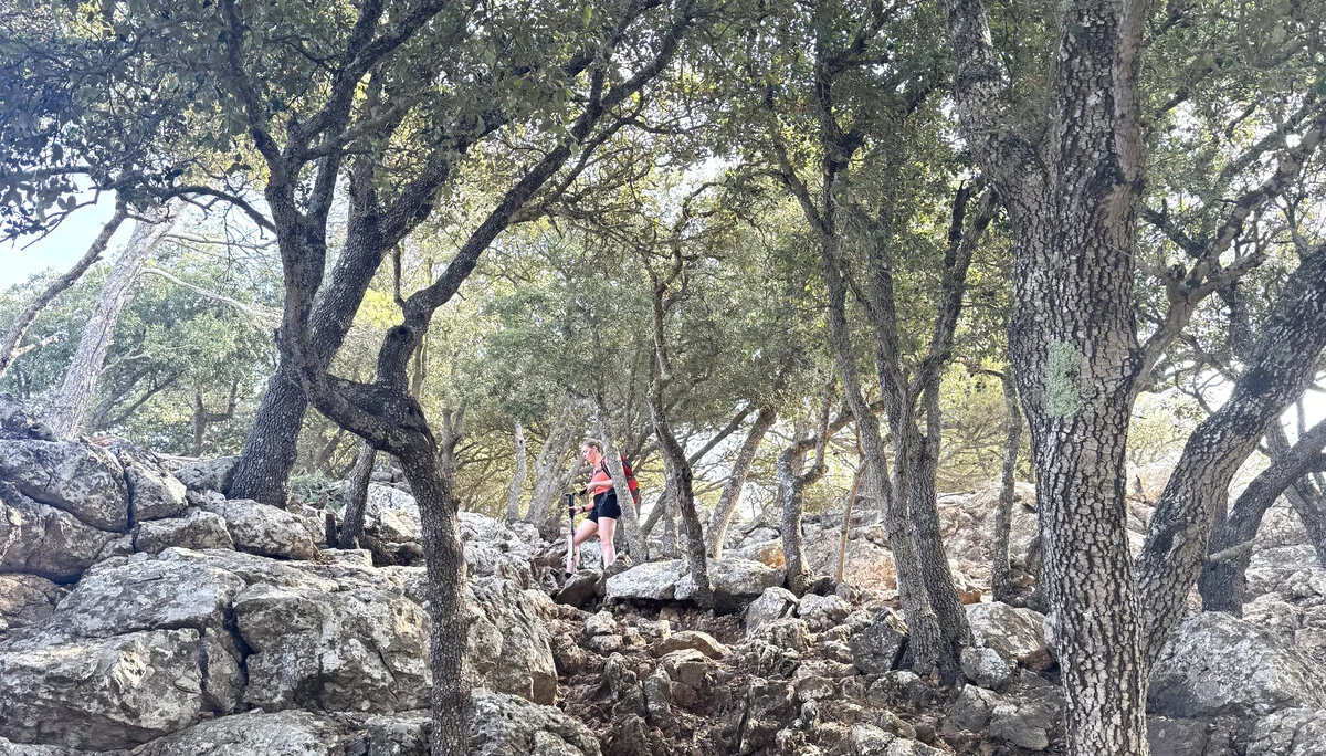 © Jeanette Zimmermann