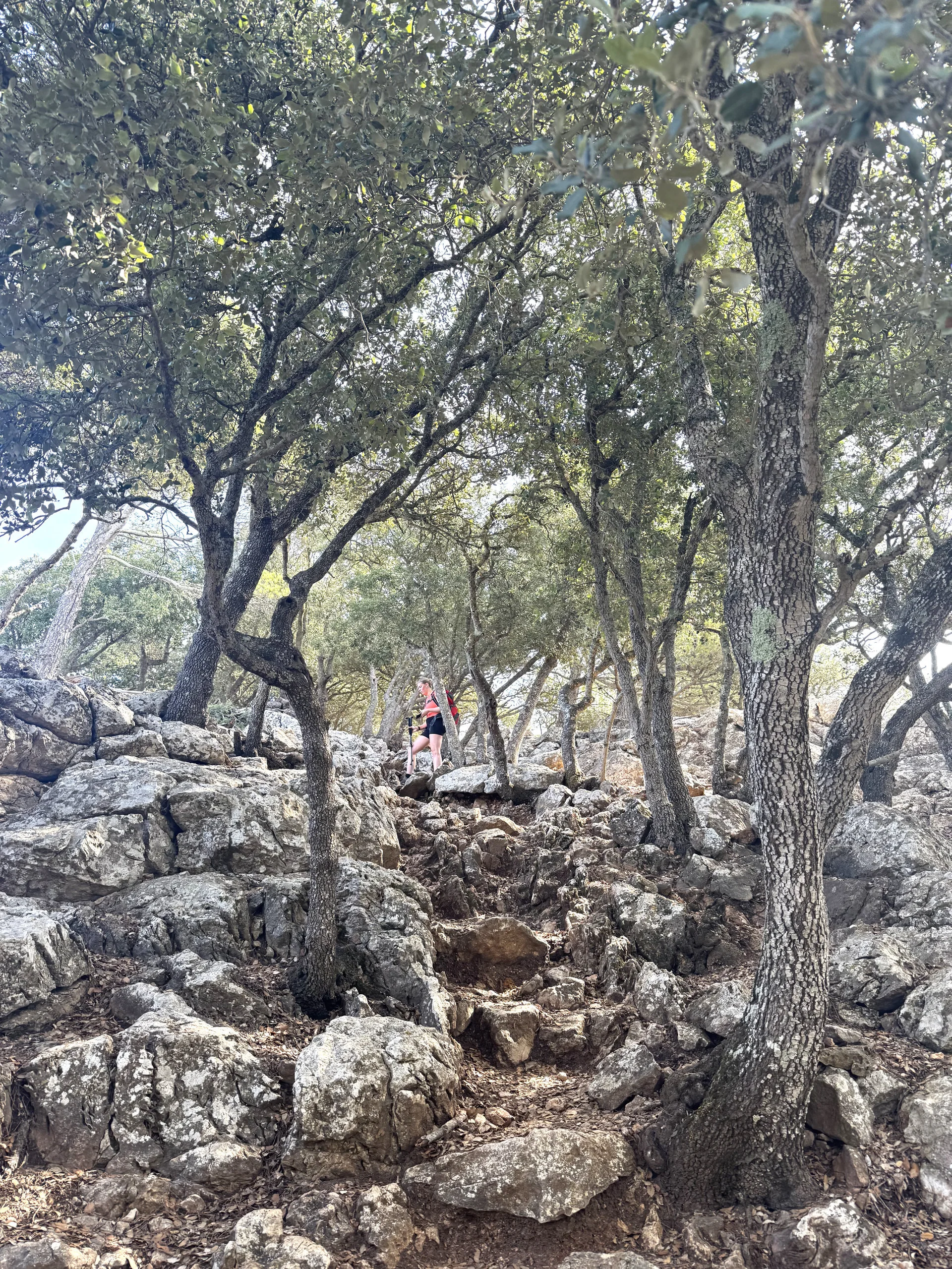 © Jeanette Zimmermann