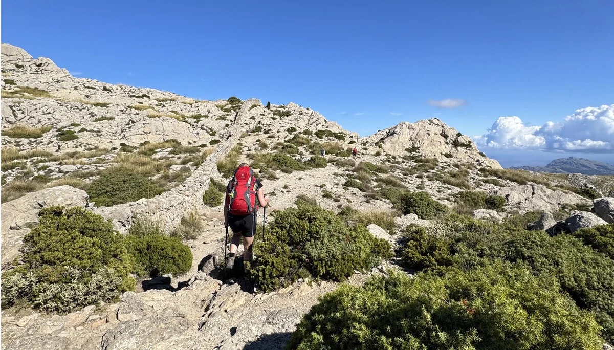 © Jeanette Zimmermann