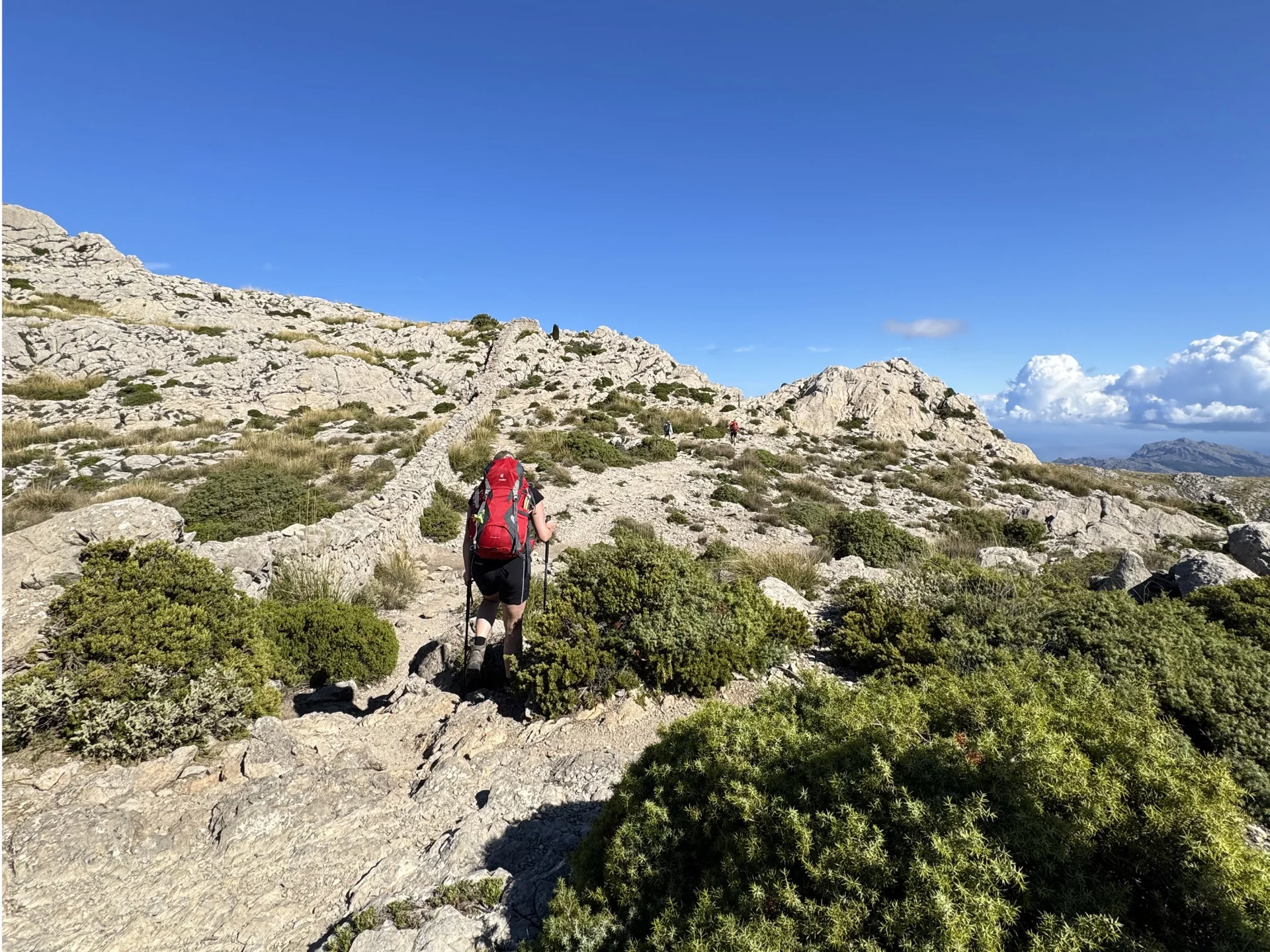 © Jeanette Zimmermann