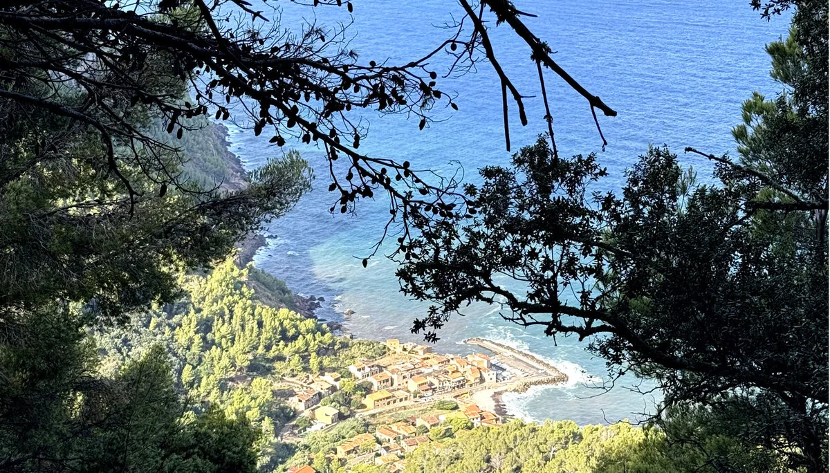 © Jeanette Zimmermann