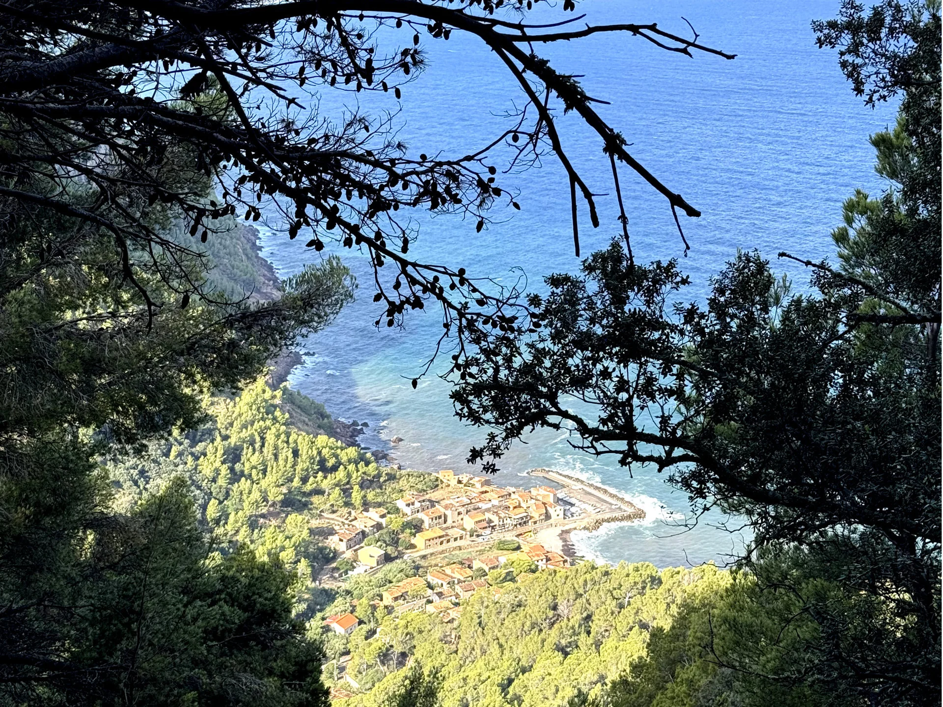 © Jeanette Zimmermann