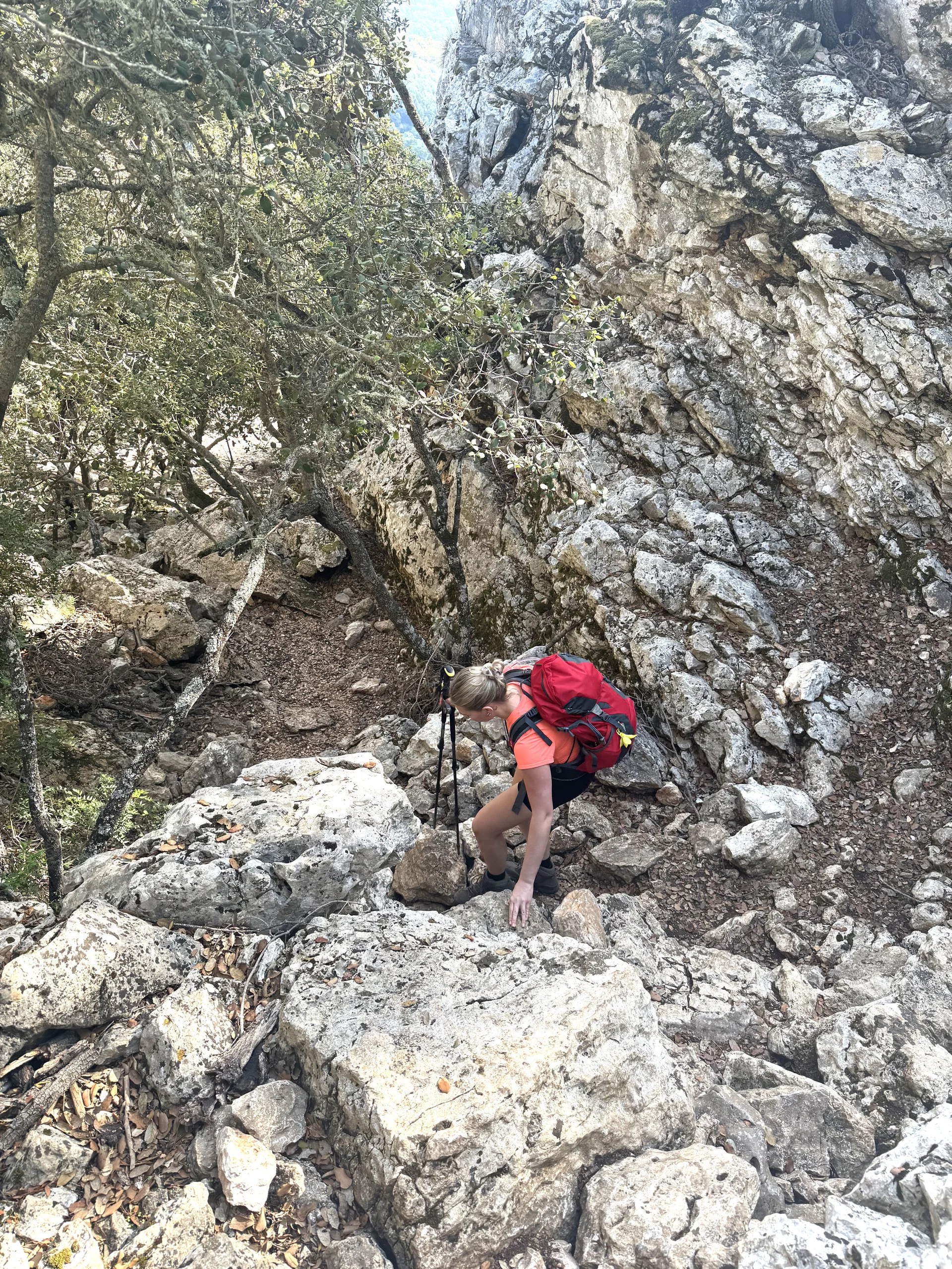 © Jeanette Zimmermann