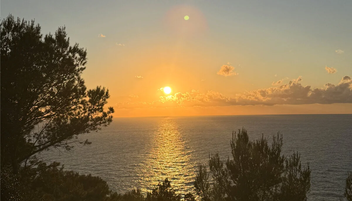 © Jeanette Zimmermann