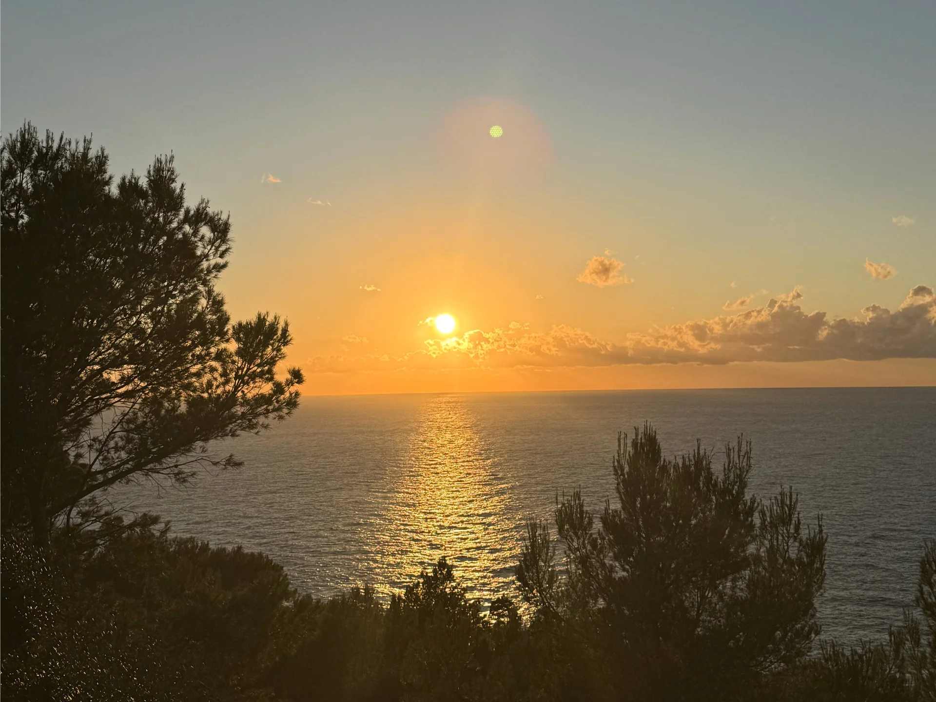 © Jeanette Zimmermann