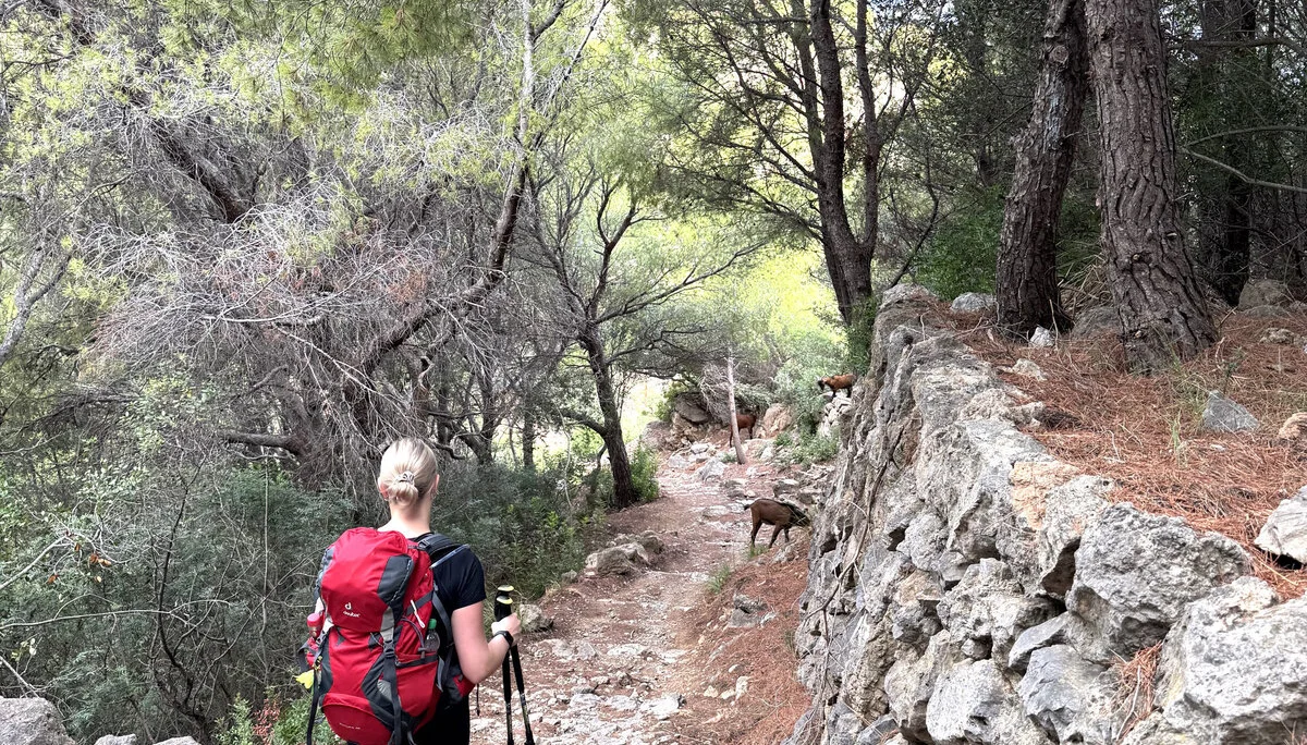 © Jeanette Zimmermann