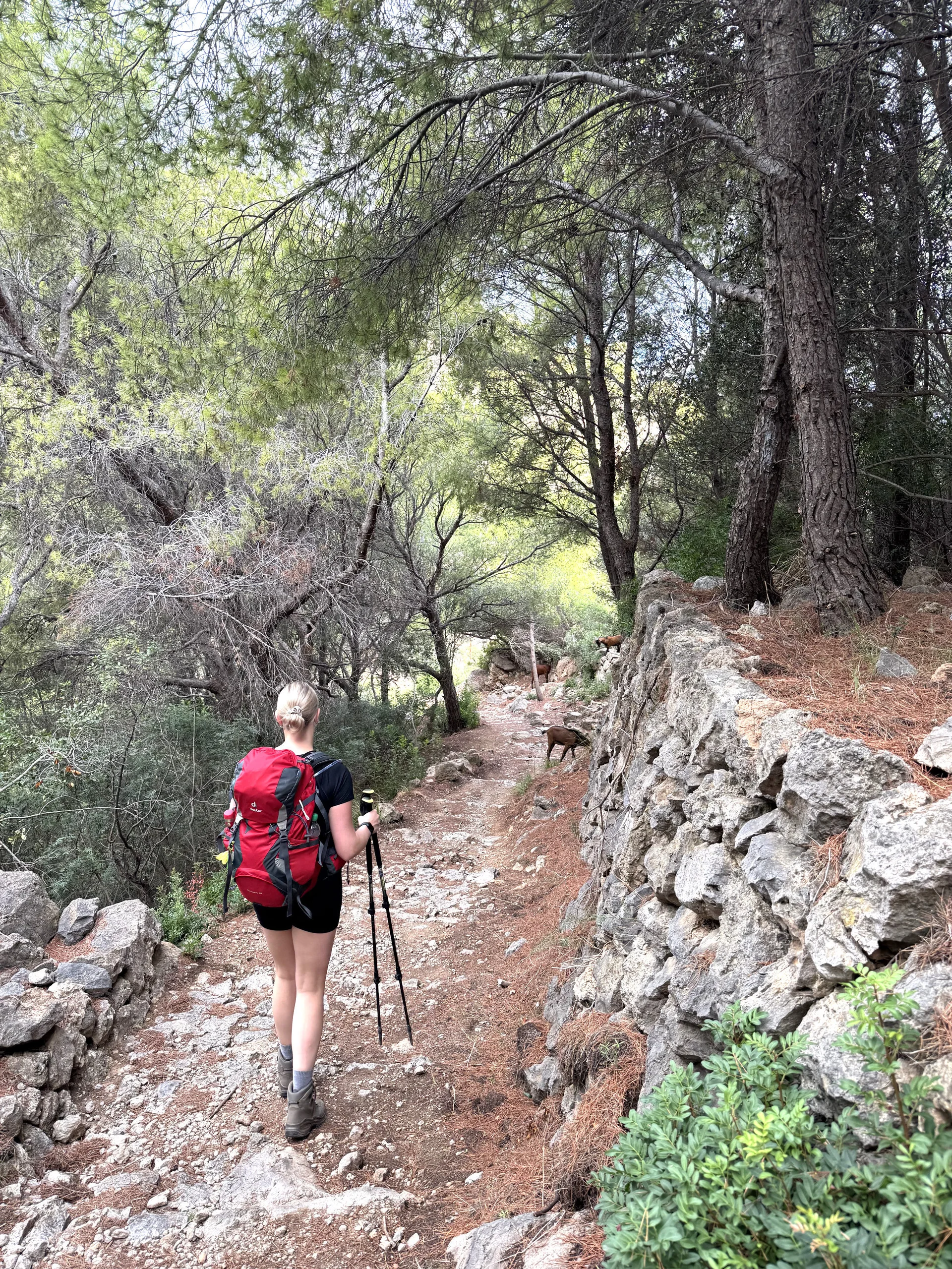 © Jeanette Zimmermann