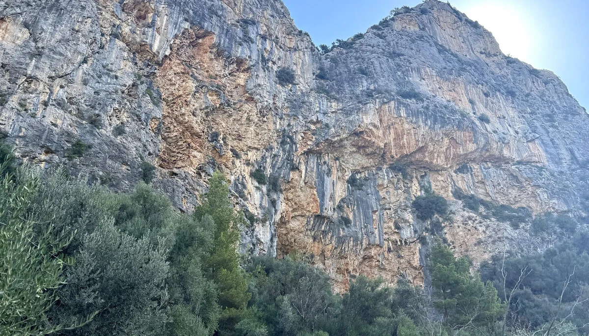 © Jeanette Zimmermann