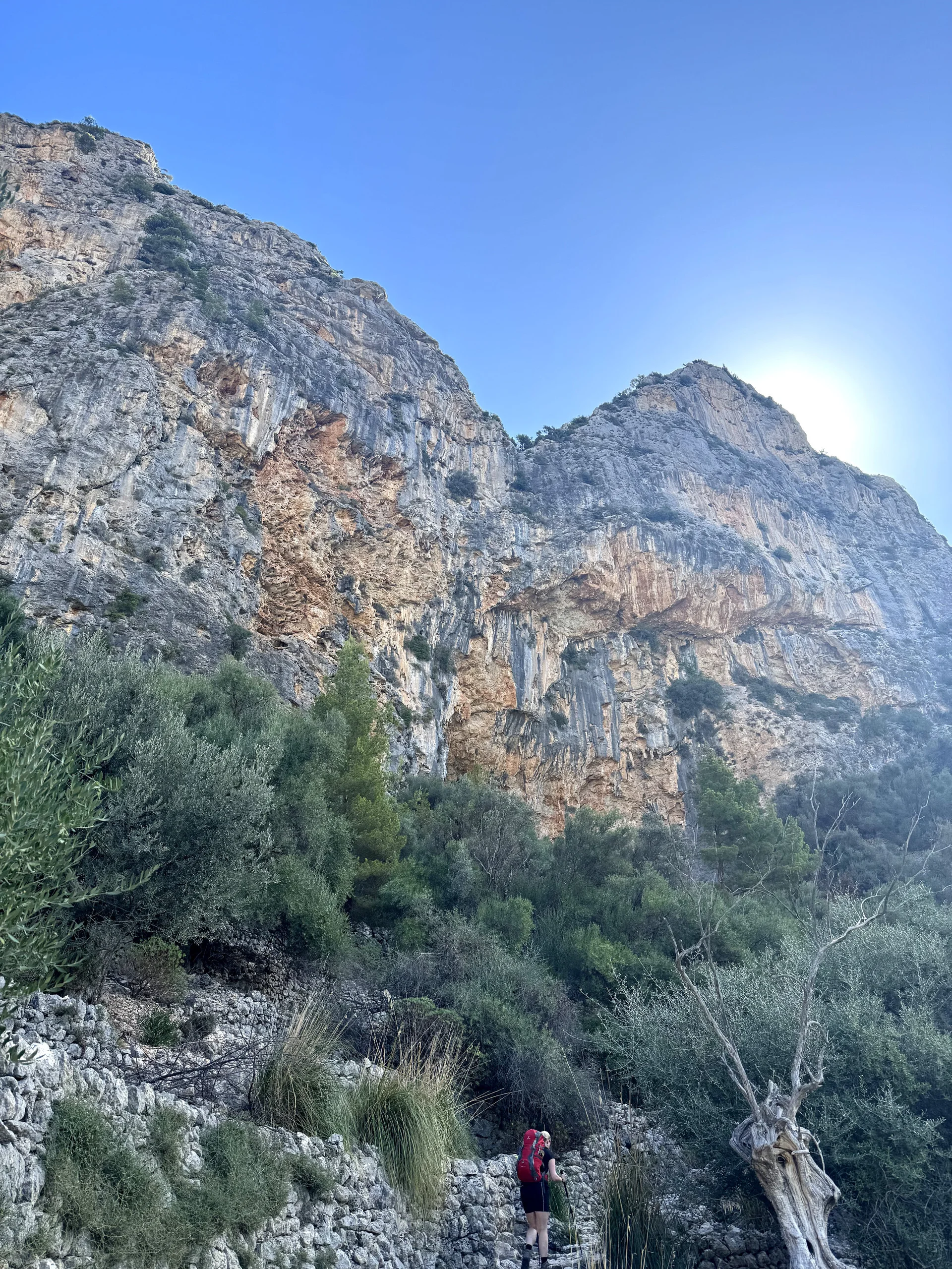 © Jeanette Zimmermann