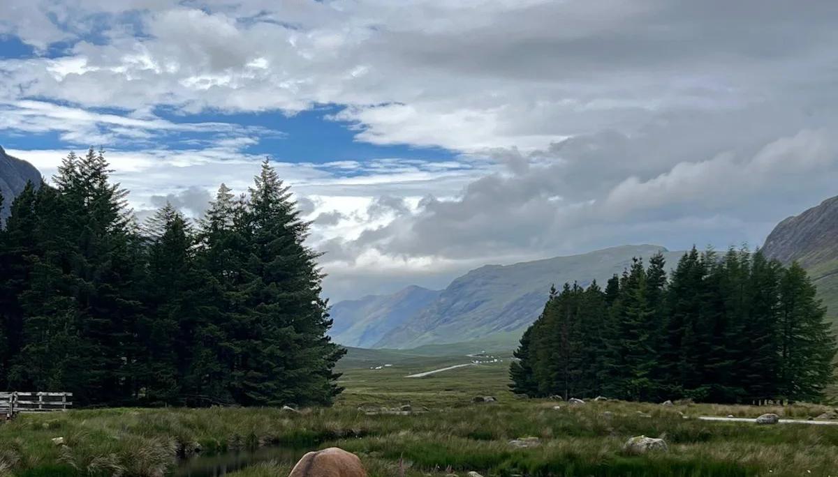 © Jeanette Zimmermann