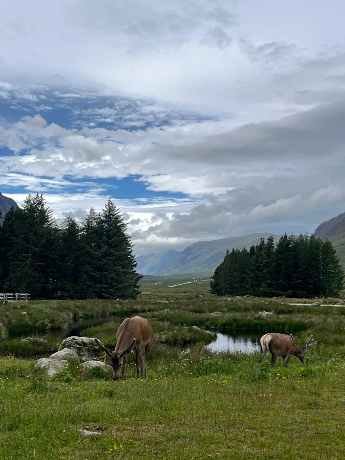 © Jeanette Zimmermann