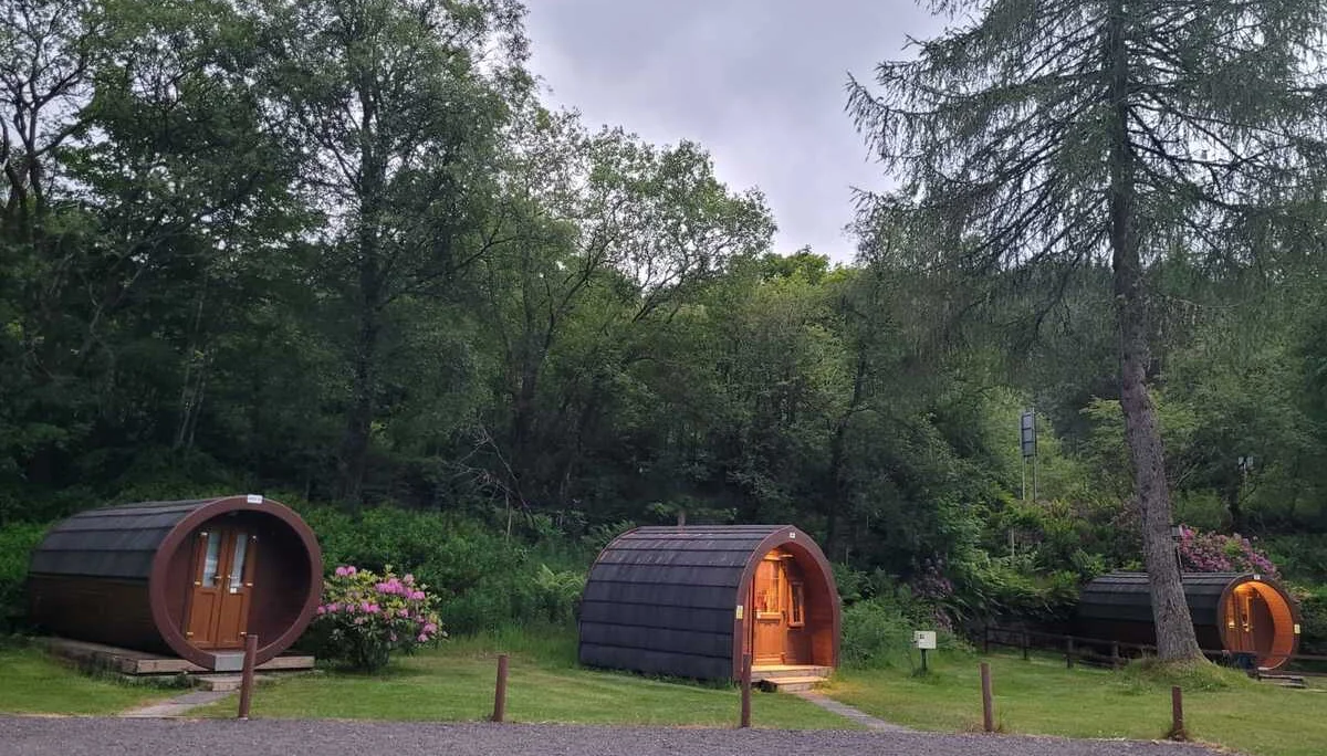 © Jeanette Zimmermann