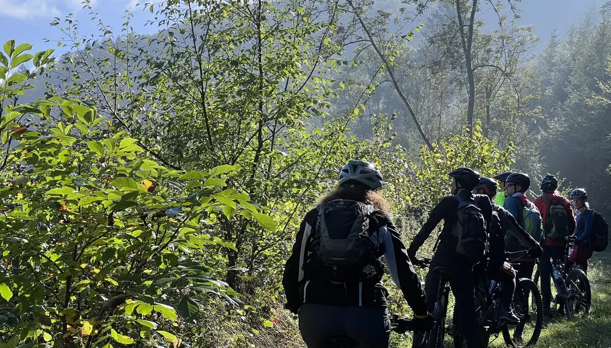 © Brigitte Kütscher