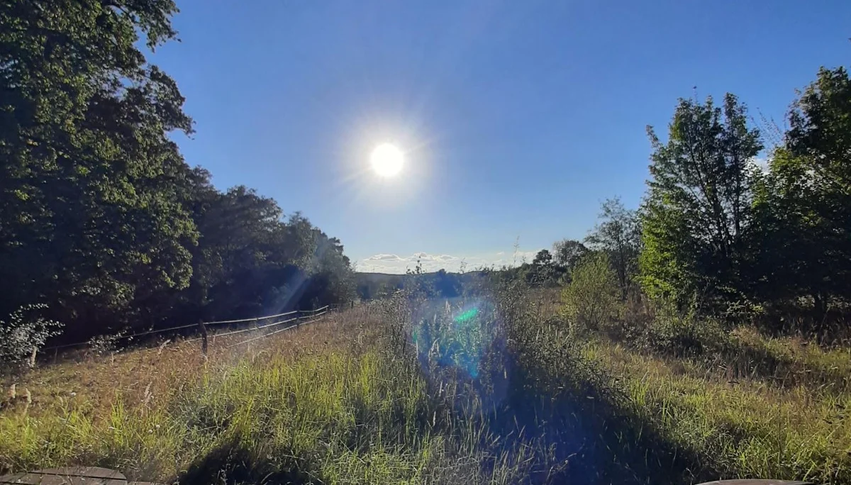 © Brigitte Kütscher