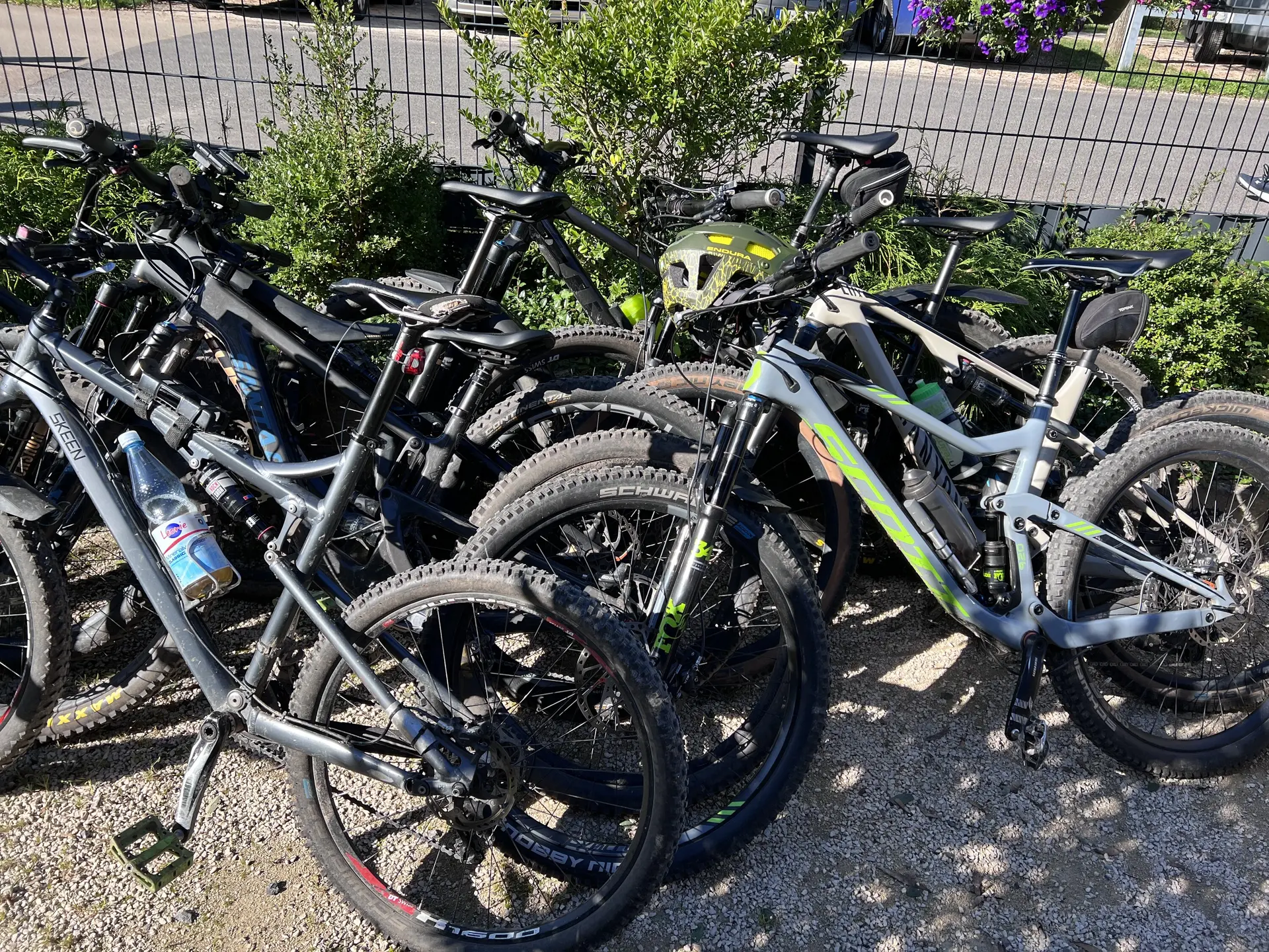 © Brigitte Kütscher